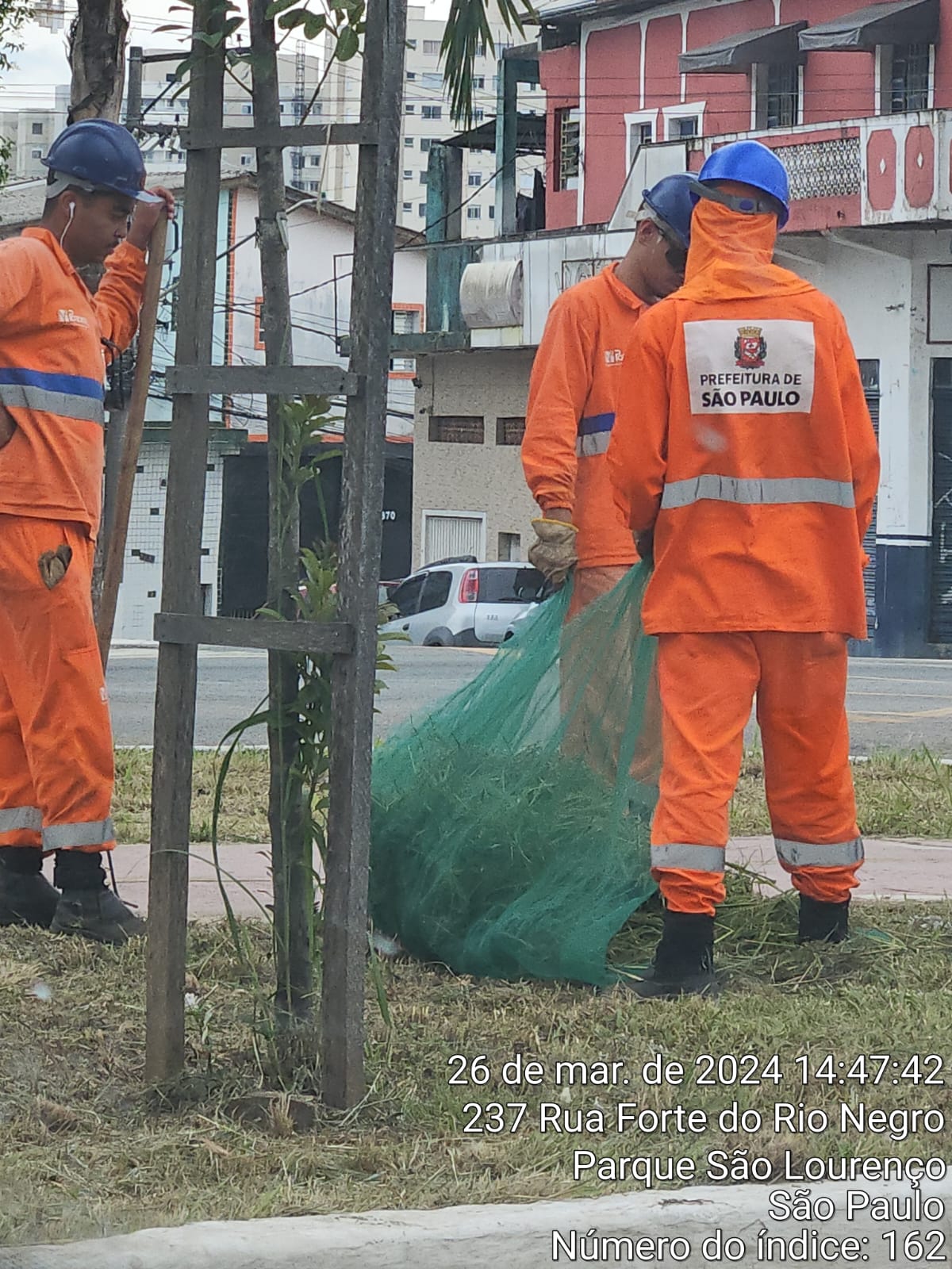 Funcionários da Prefeitura recolhem grama cortada. Três homens fazem a limpeza, usando uma tela verde. 